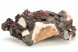 Small, Red Vanadinite Crystals on Manganese Oxide - Morocco #212018-1
